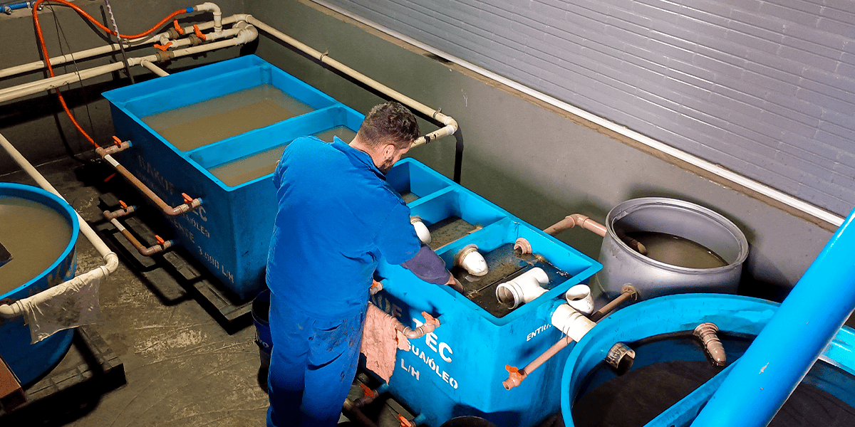 Sustentabilidade na Mecânica Berteli: cuidando do caminhão e do planeta